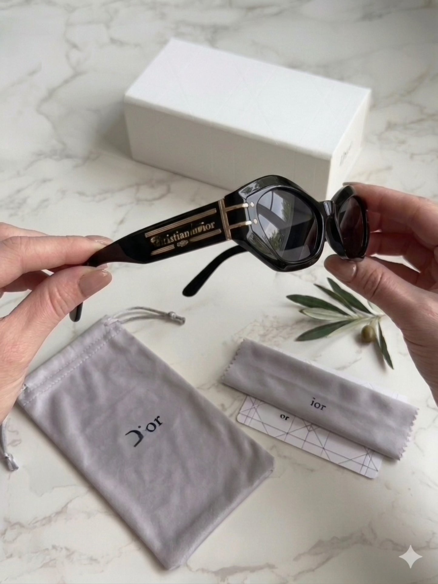 Diora Modern Sunglasses