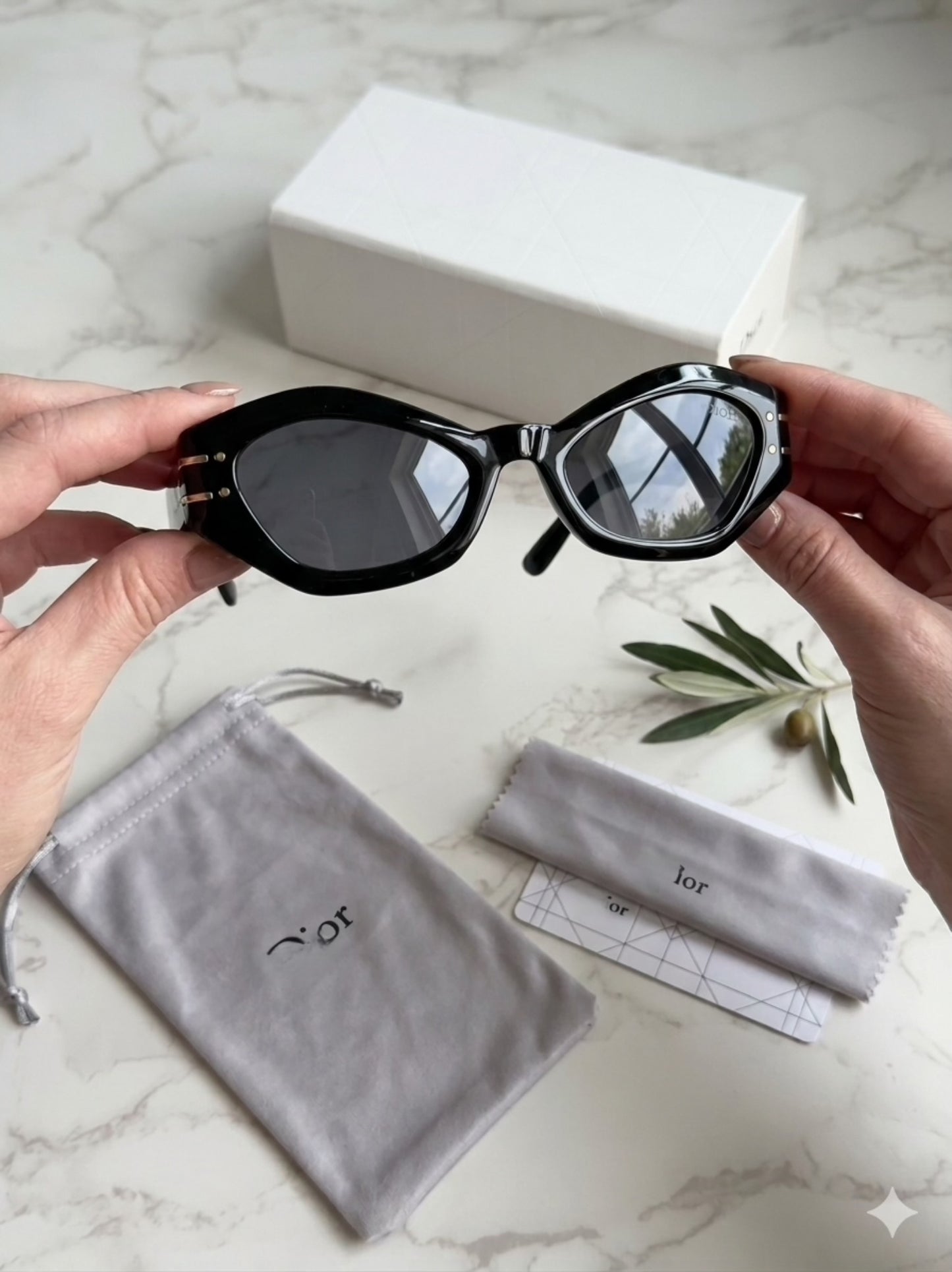 Diora Modern Sunglasses